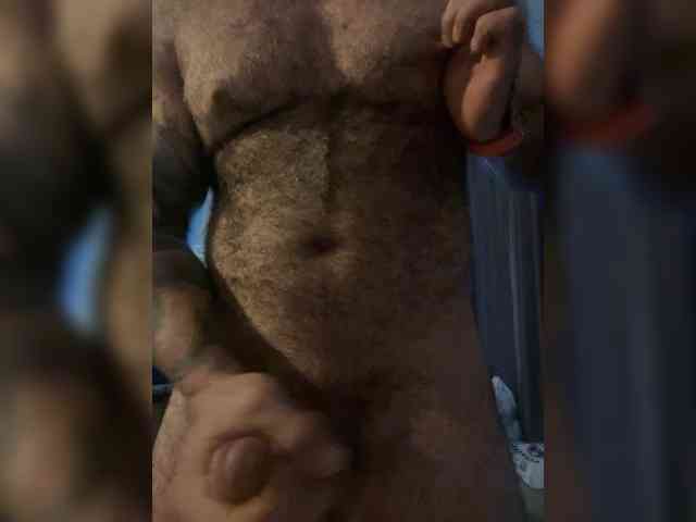 Bear-cub5