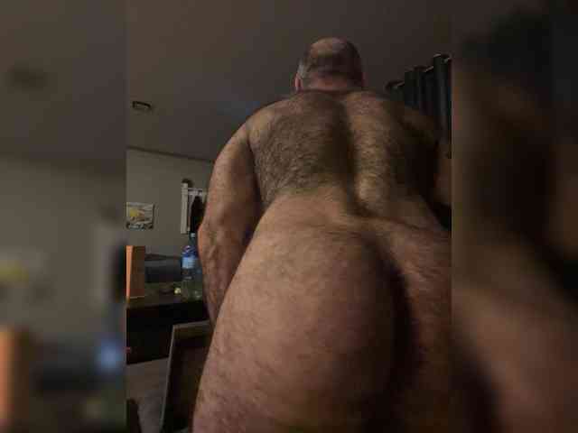 Bear-cub5