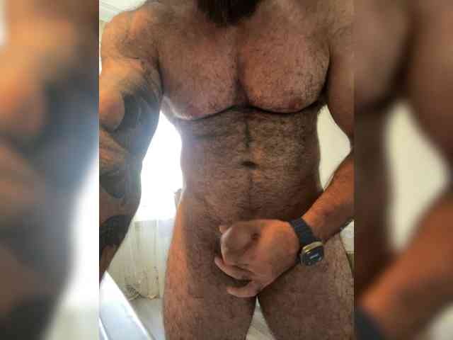 Bear-cub5