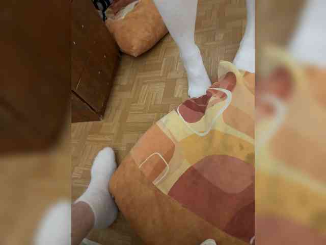 Модель: Saranskwirthothome