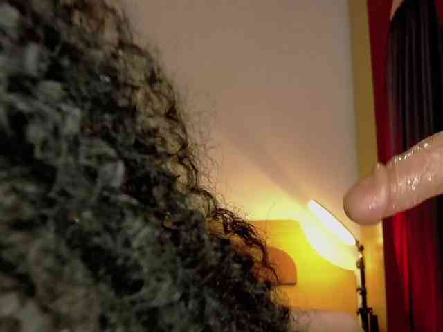 WithinTemptation webcam