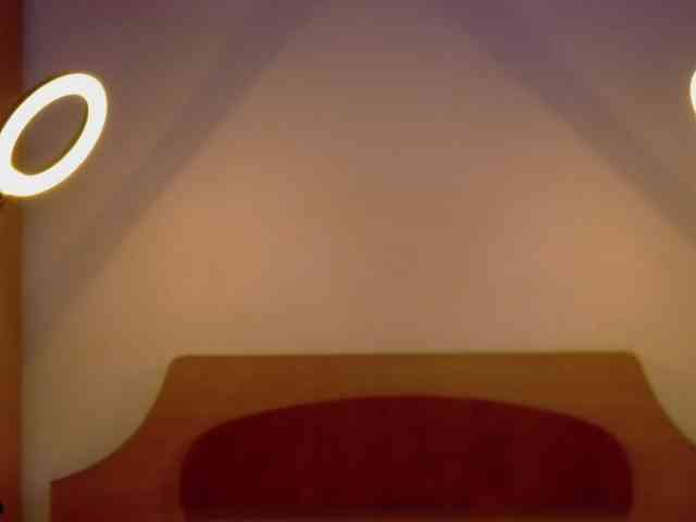 WithinTemptation webcam