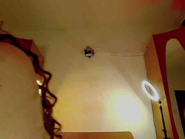 WithinTemptation webcam