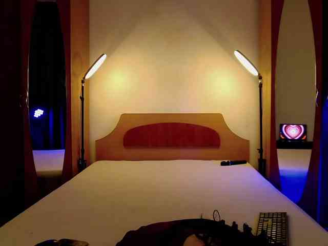 WithinTemptation webcam