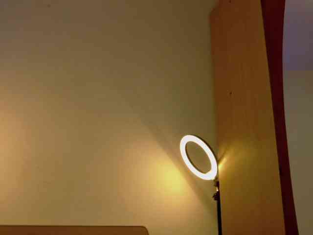 WithinTemptation webcam