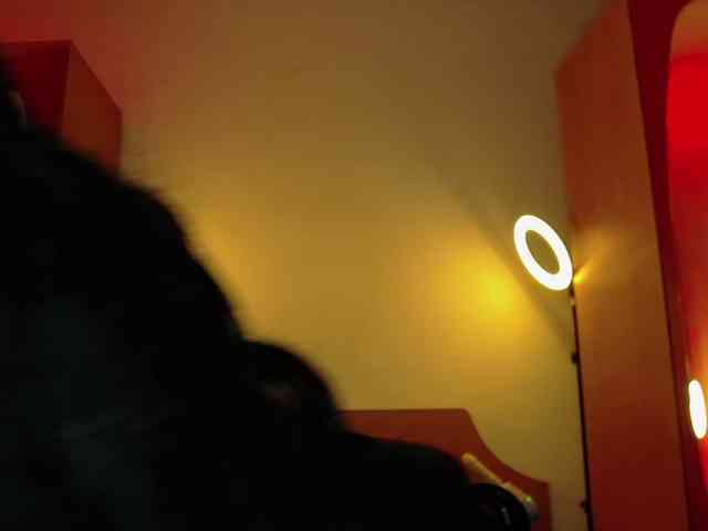 WithinTemptation webcam