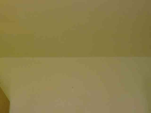 WithinTemptation webcam