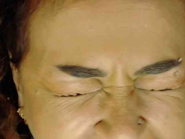WithinTemptation webcam