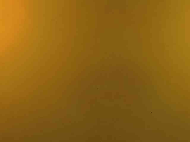 WithinTemptation webcam