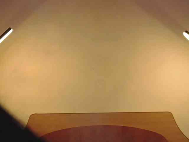 WithinTemptation webcam