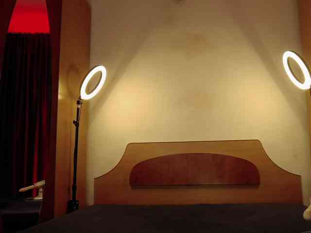 WithinTemptation webcam