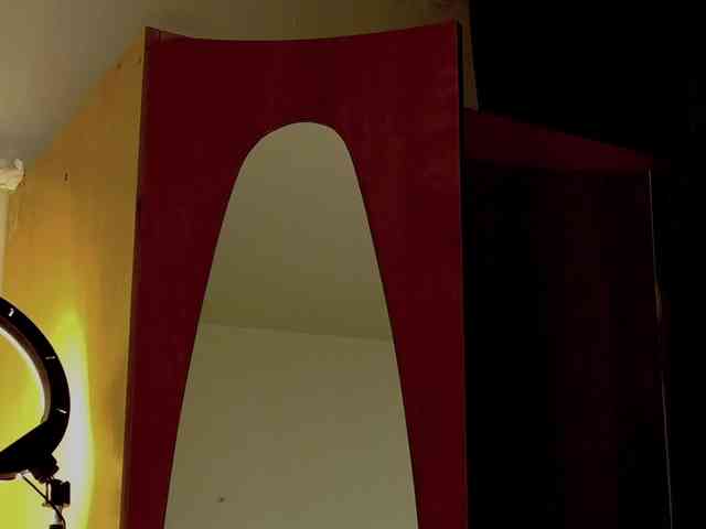 WithinTemptation webcam
