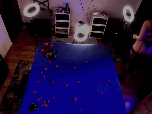 WithinTemptation webcam