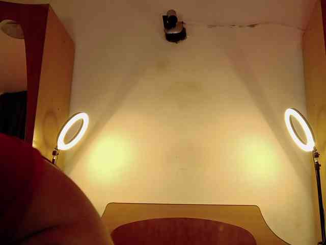 WithinTemptation webcam