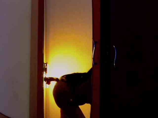 WithinTemptation webcam