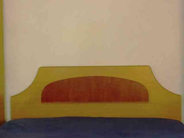 WithinTemptation webcam