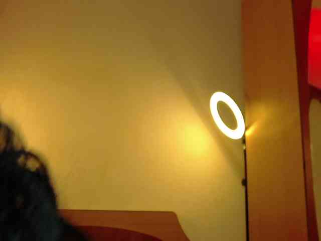 WithinTemptation webcam