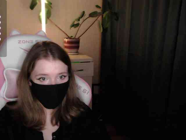 katydaisy webcam