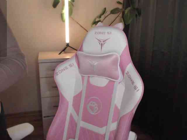 katydaisy webcam