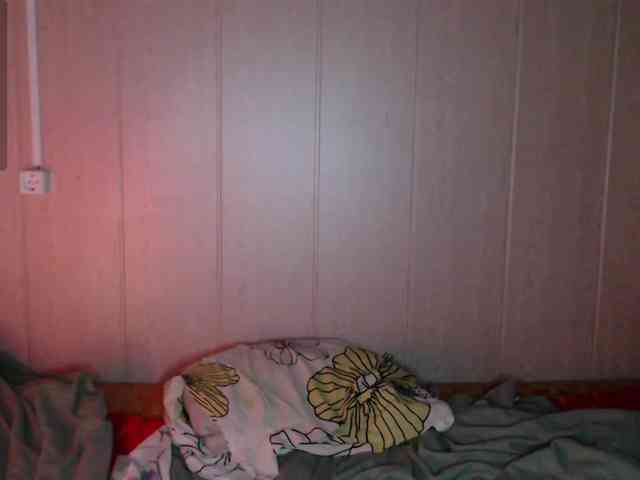 katydaisy webcam