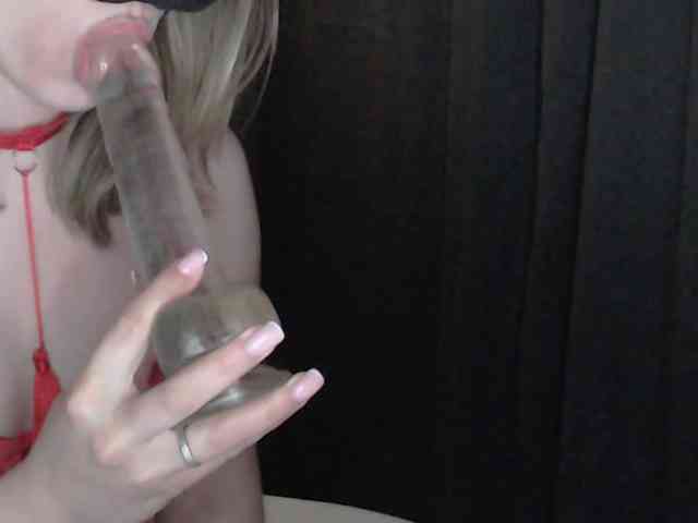 katydaisy webcam