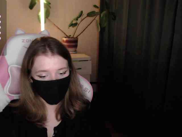 katydaisy webcam