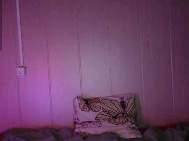 katydaisy webcam