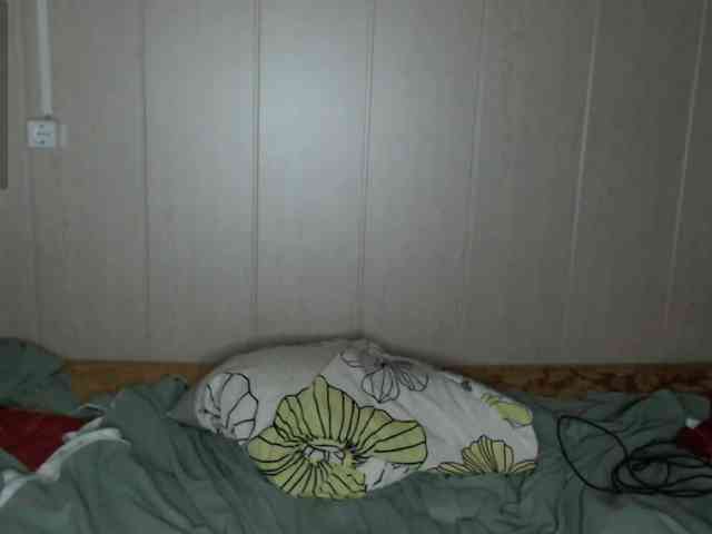 katydaisy webcam
