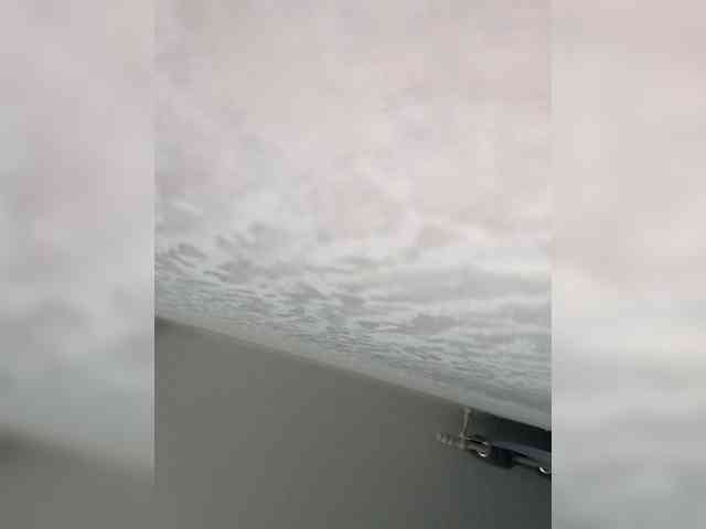 Paradox9408 webcam