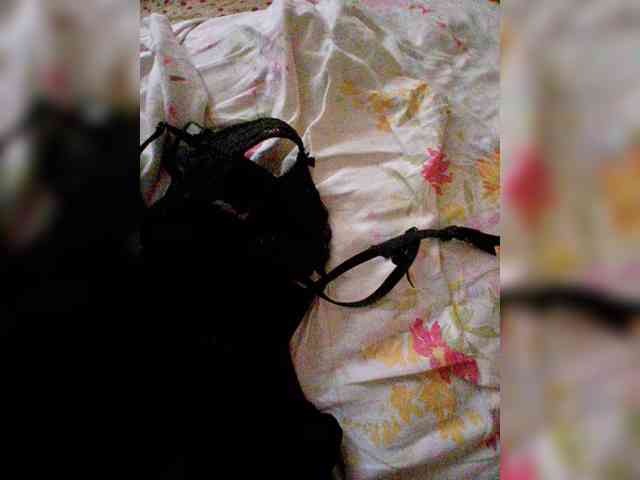 AstahichAlena Sex Cam Show
