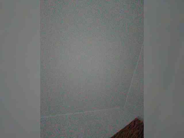 Adrenalinki0816 webcam