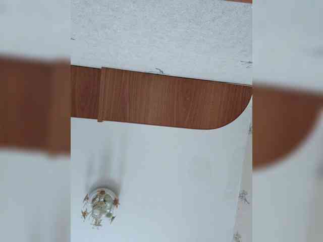 Adrenalinki0816 webcam