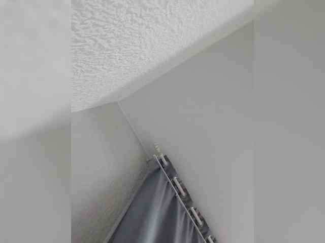 Paradox9408 webcam