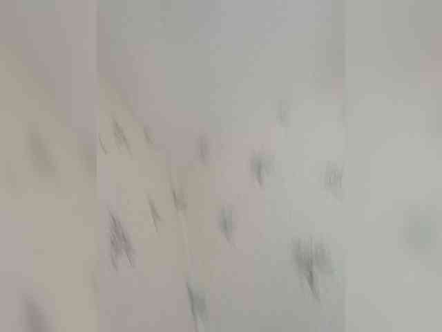 Adrenalink0816 webcam