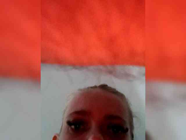 Paradox9408 webcam