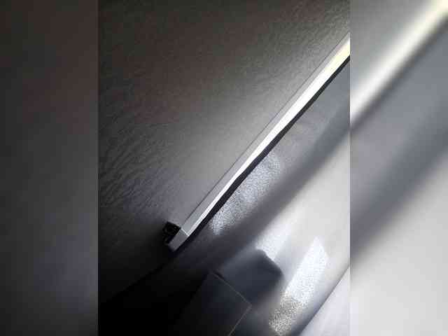 AstahichAlena webcam