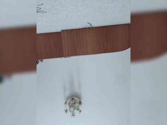 AstahichAlena Sex Cam Show