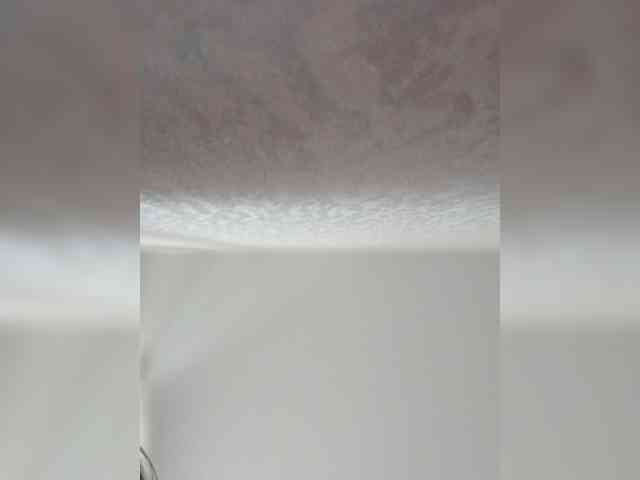 Paradox9408 webcam