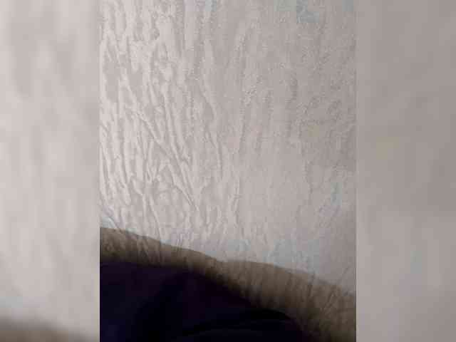Paradox9408 webcam