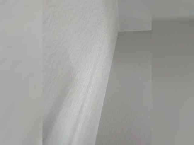 Paradox9408 webcam