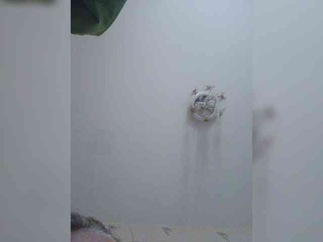 Adrenalinki0816 webcam