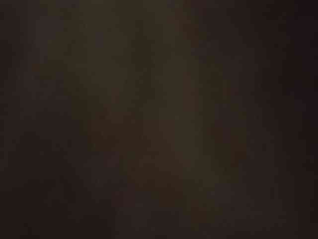 Paradox9408 webcam