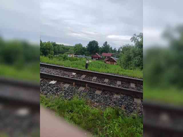 Adrenalinki0816 webcam