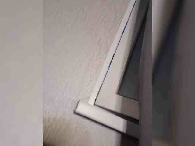 Paradox9408 webcam