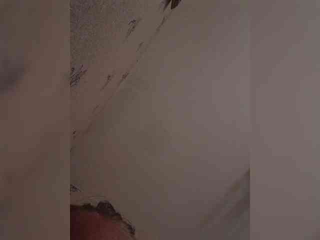 AstahichAlena Sex Cam Show