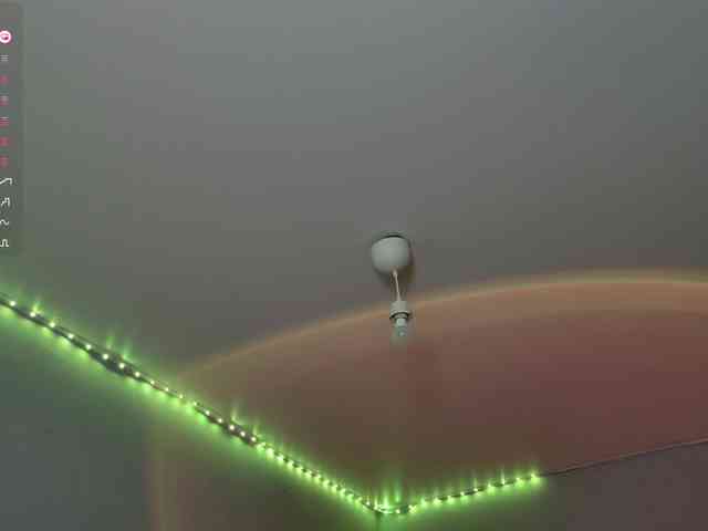 darsya webcam