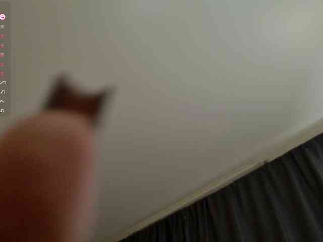 darsya webcam