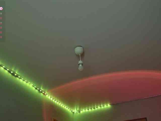 darsya webcam