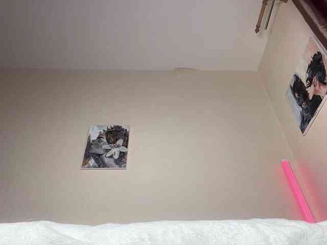 ShantaySisson webcam