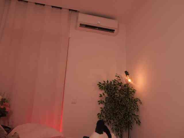 BlackkStorm webcam